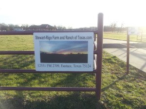 New Sign for Stewart-Rigo Farm and Ranch of Texas formerly "Silver Star" copyright 2015 John J. Rigo